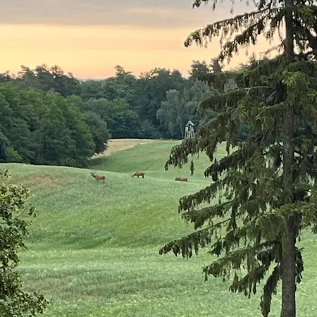 Kolorowe Klimaty Na Mazurach Villa *